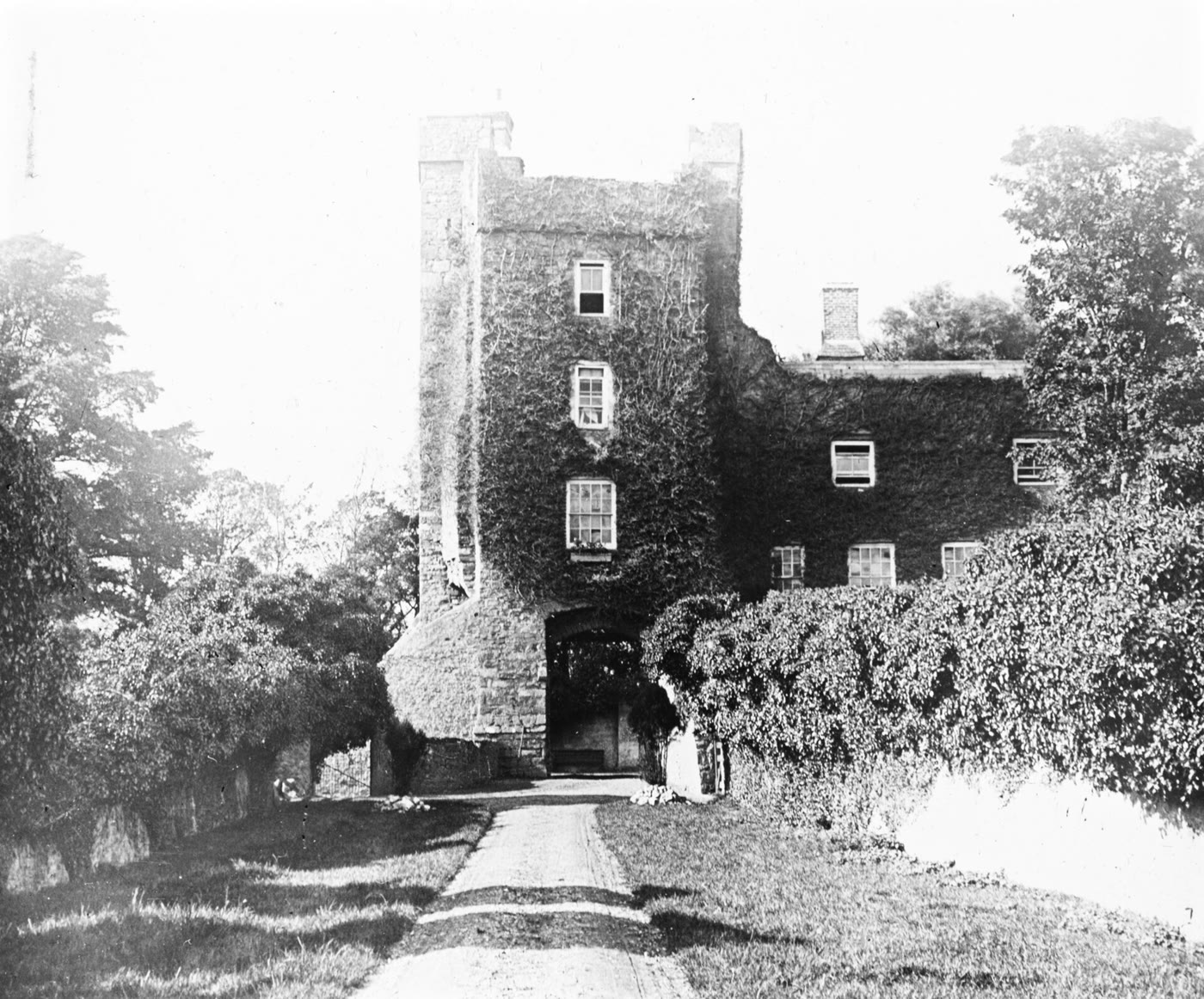 Drimnagh Castle around 1900: an ivy-covered tower house with an arched gateway at the end of a garden path